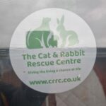 Window Sticker - Image 2