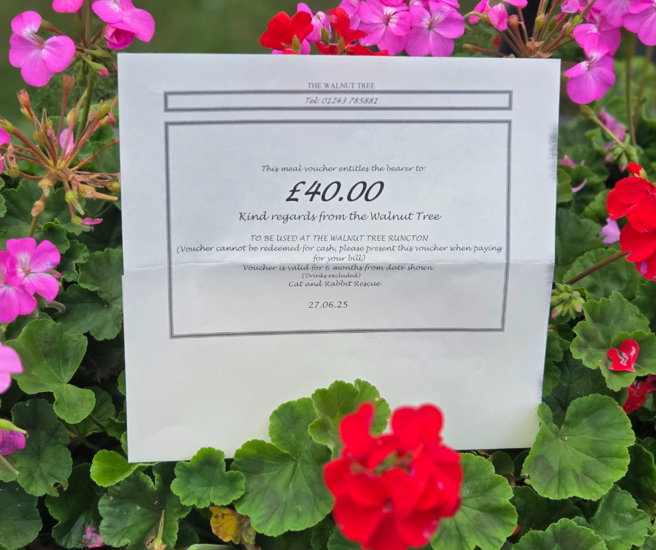 Voucher For The Walnut Tree Pub