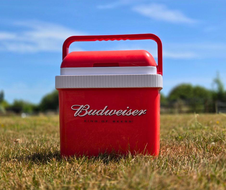 Budweiser Branded Electric Cooler