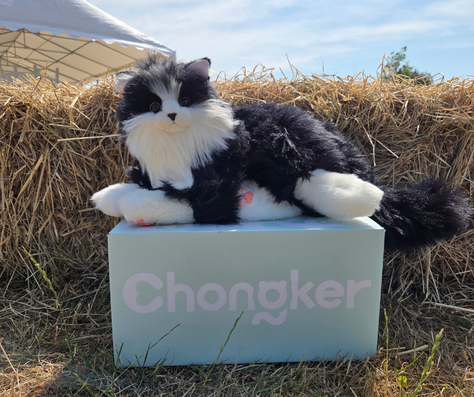 Congker Cat – Percy Interactive Companion Cat